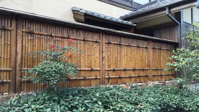 给你看个不一样的拈花湾