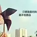 飞宇怡