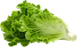 生菜 菜png