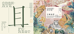时遇枫采集到VI