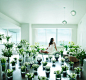 Campaigns : The commercial portfolio of photographer Erik Almas.
