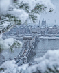 在雪中清醒的孤獨，總比在人群中熱鬧的寂寞與迷惑要好些。Krénn Imre ​​​#艺术分享##摄影# ​​​​