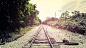 railroad tracks - Wallpaper (#2830012) / Wallbase.cc