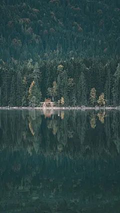 风景