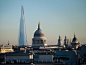 Shard  (12)