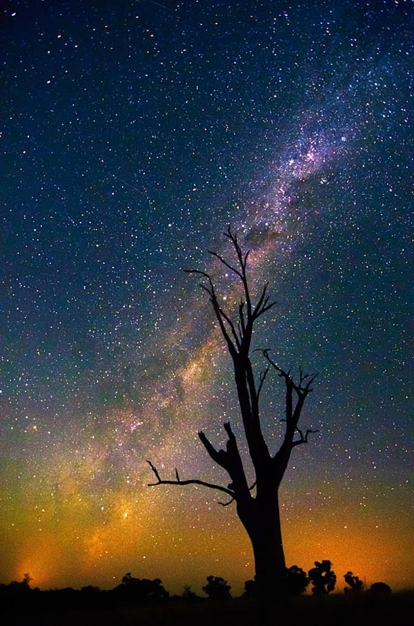 我欲把你找寻，或在午夜时分
    看不...