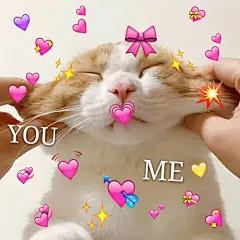 我爱你猫猫