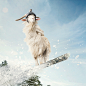 TomTom 'Goat' : This great project was created for the TomTom Bandit-Actioncamera. We were asked by photographer Tim mintiens to help put together these action packed visuals for TomTom's promotional campaign. The images are all completely built in post b