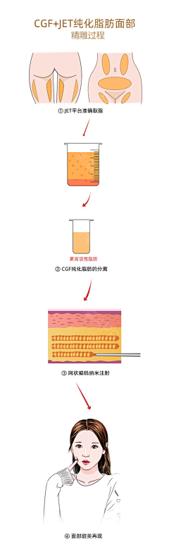 一只土豆儿采集到医美插画