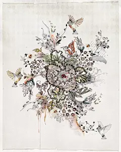 【植物插画系列图集下载】创意叶子草本花卉绘本绘画