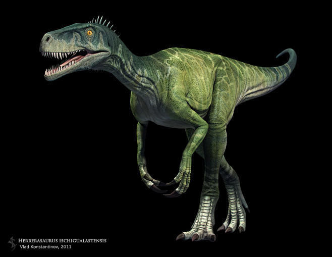 Herrerasaurus ischig...
