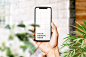 hand-holding-new-smartphone-mockup-surrounded-by-leaves_252953-23