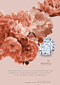 Print Ad concepts for Peonia on Behance