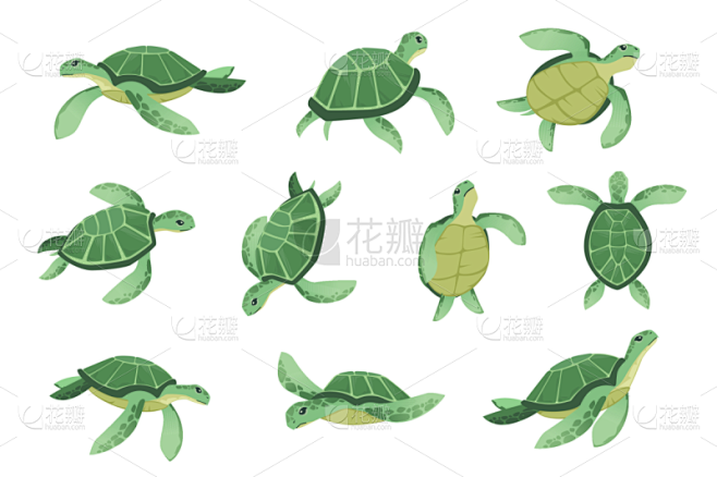 动物,海洋,卡通,矢量,龟,可爱的,绘画插图,绿蠵龟,平坦的,分离着色