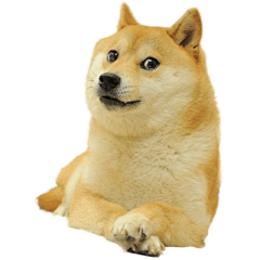 sarah丶🍀采集到柴犬