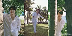 张远 - 高清图片，堆糖，美图壁纸兴趣社区