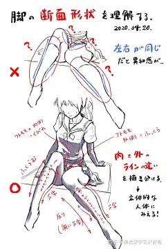 (12 封私信 / 80 条消息) 学美术怎么记人体结构？ - 知乎