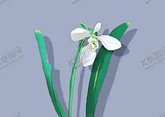 植物手绘插画 【酷图网】花,花卉,植物,鲜花,夏天,春天,手绘,插画,广告设计,平面设计,包装设计,包装,服装,画册,设计,广告,绘本,电商,平面,海报,简约,背景,印花,壁纸,贴纸,装饰画,装饰,田野,母亲节,父亲节,情人节,女生节,节日,牡丹,月季,菊花,百合,分层,