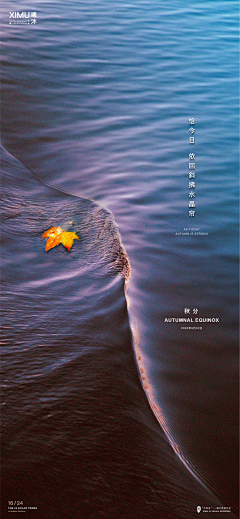 MI™采集到晚安图