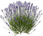(98) Pinterest