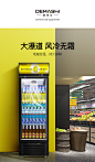 【德玛仕单门风冷展示柜】德玛仕（DEMASHI） 风冷展示柜冷藏饮料柜商用超市便利店啤酒单门立式水果蔬菜保鲜柜 单门风冷无霜【行情 报价 价格 评测】-京东