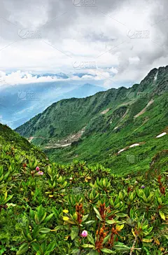 安静,壁纸,自然,背景,索契,垂直画幅,灵性,野生动物,岩石,无人