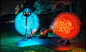 vivid_17_rbg_01