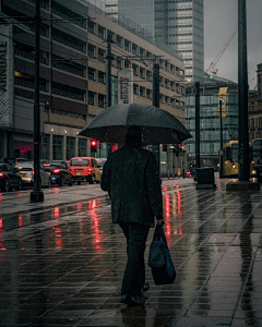 秋音有声采集到摄影｜雨