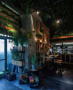 米思特兔子的潘多拉吉恩-骢聪采集到植物·餐厅