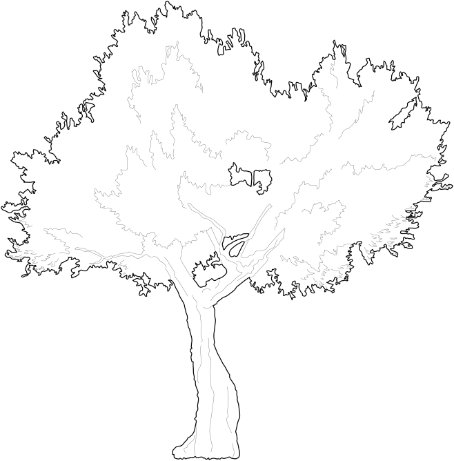 olive-tree-trees-96-pimpmydrawing