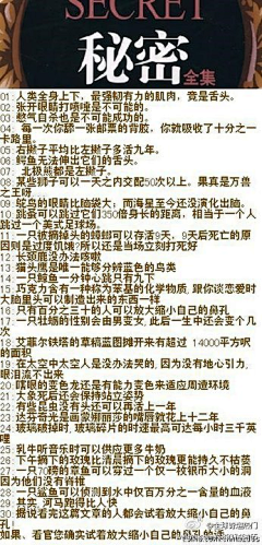 沅有芷兮澧有兰采集到音乐、电影、图书