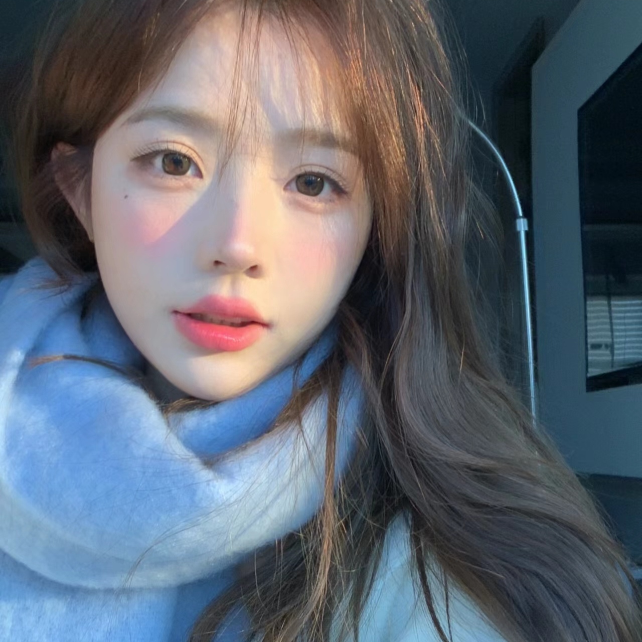 一百个大不刘头像_美女壁纸