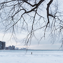 凉兮♔采集到雪的世界