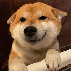 路过猪肉档采集到北鼻