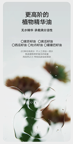 7zsiZznQ采集到详情