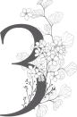 唯美婚礼素描字母花卉植物海报请柬装饰免抠PNG元素图案PS合集 (3)