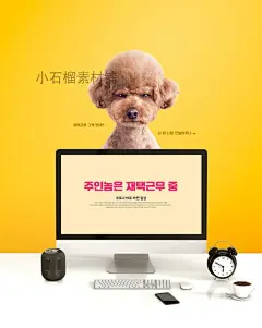 可爱宠物猫咪狗狗和人相处生活工作海报画报PSD设计模板psd505-淘宝网
