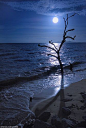 Moonlit Beach - Kuwait