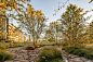 Mass General Brigham Administrative Campus | OJB Landscape Architecture : OJB designed a landscape that inspires restorative experiences and alternately fosters employee and community engagement at the new Partners HealthCare Administrative Campus.
