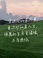 情感语录文案图片背景小红书封面