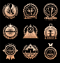 奖牌icon-设计素材-shejisc.cn