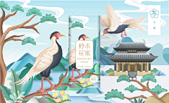 次沛杰采集到食品类包装