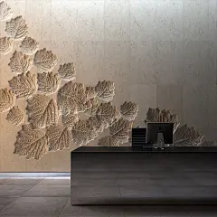 采集图片