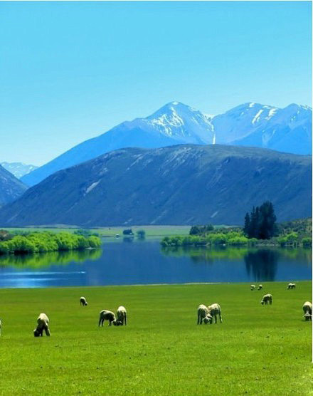 皮尔森湖·新西兰南岛： 我要去，一个很远...