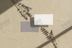 文艺光影名片样机 【酷图网】小清新,素雅,小资,情调,香薰,肥皂,美妆,女性,护肤,精油,名片,服饰,服装,样机,卡片,明信片,墙壁,质感,纹理,光影,影子,树影