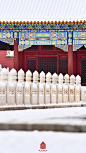 彤阶飞雪，青枝寒酥。
12月11日，北京迎来今冬初雪。

白雪镶红墙，碎碎坠琼芳。
在雪中，故宫安静得不动声色。
琉璃金顶玉尘层叠，
朱墙廊壁银星闪灼。
极目远望，丹宸碧瓦与雪相接，
与天一色。
