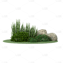 花瓣素材采集到【免抠】植物元素