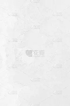 纯色墙纸上的浅灰色布局