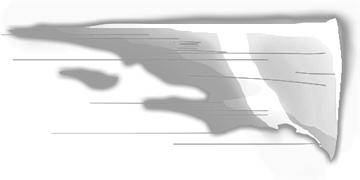 common_119