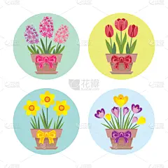 贺卡,郁金香,番红花属,水仙花,春天,风信子,绘画插图,卡通,圆形,扁平化设计
